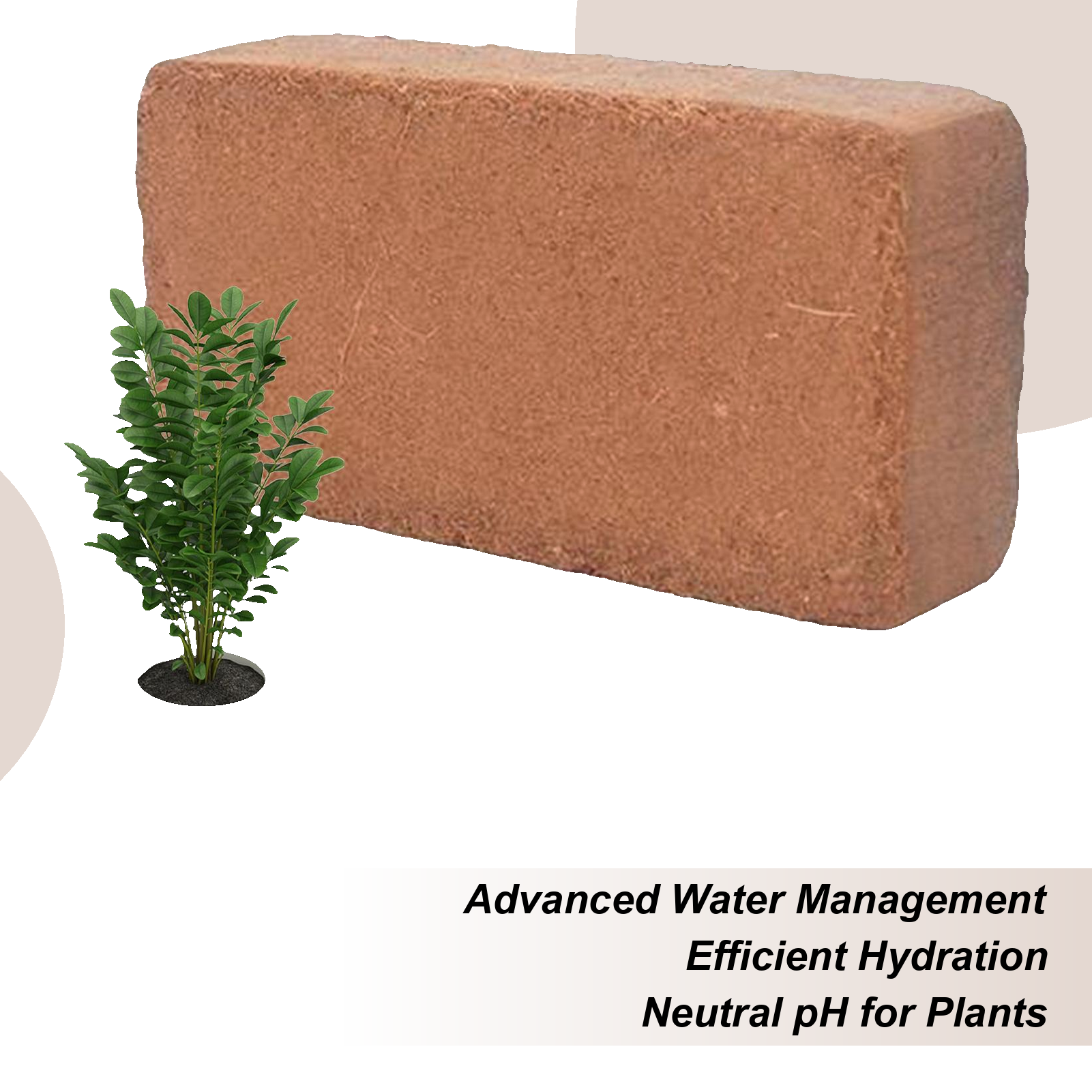 Coco Coir Block - Organic Coco Coir Coco Coir For