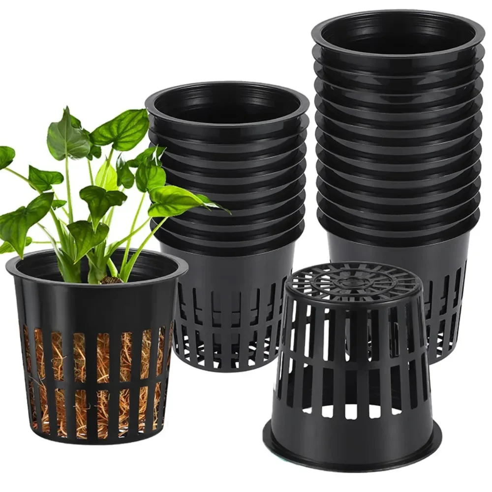 10pcs Black 3 Inch Nursery Pot - đánh giá và giá Net Pot 3 Inch