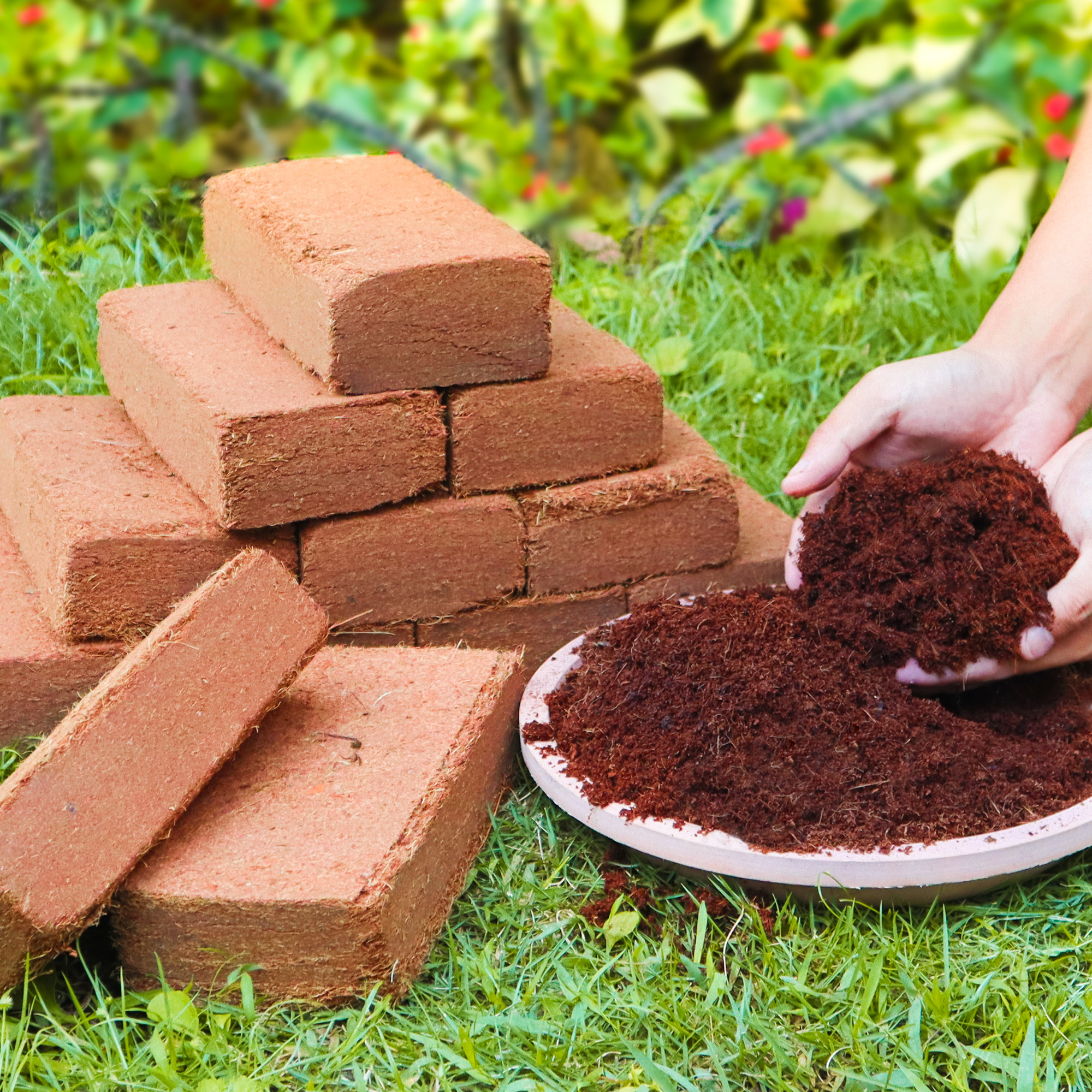 12pcs Coco Coir Brick for Plan - đánh giá và giá Coco Coir Block