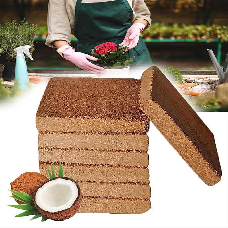 1/3/5pcs Organic Coconut Fiber - đánh giá và giá Coco Coir Block