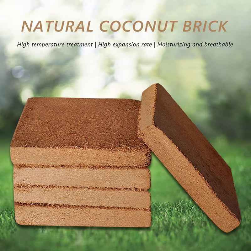 1/3/5pcs Organic Coconut Fiber - đánh giá và giá Coco Coir Block