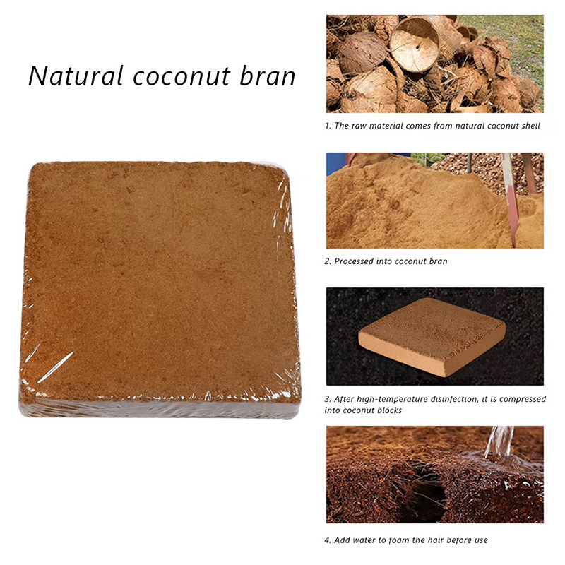 1/3/5pcs Organic Coconut Fiber - đánh giá và giá Coco Coir Block