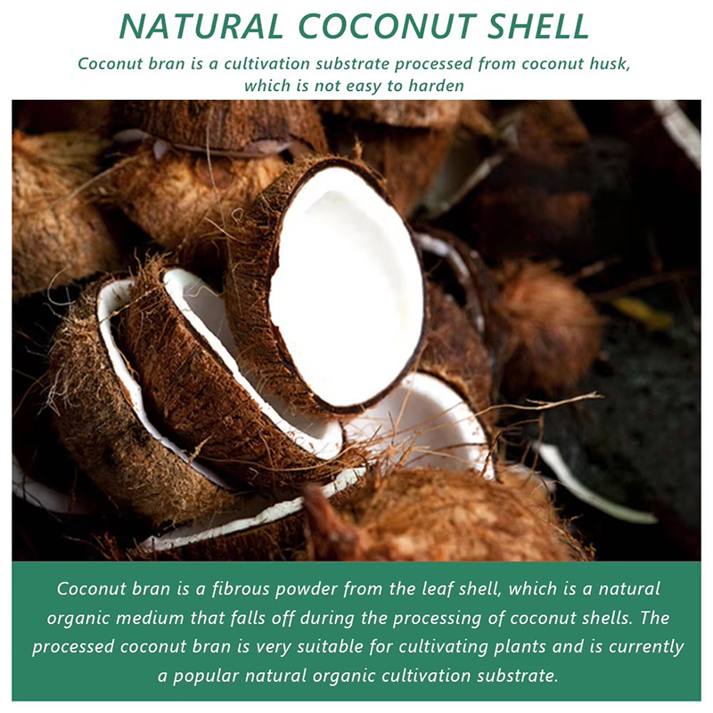 1/3/5pcs Organic Coconut Fiber - đánh giá và giá Coco Coir Block