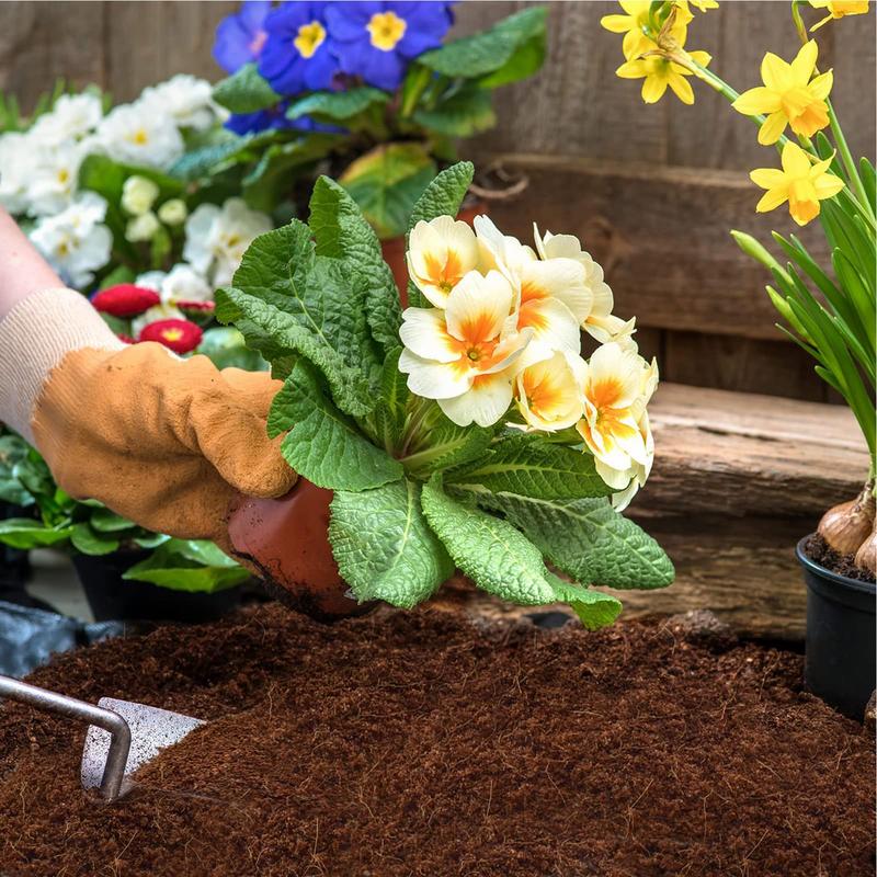 50pcs Coconut Fiber Coir Veget - đánh giá và giá Coco Coir Block