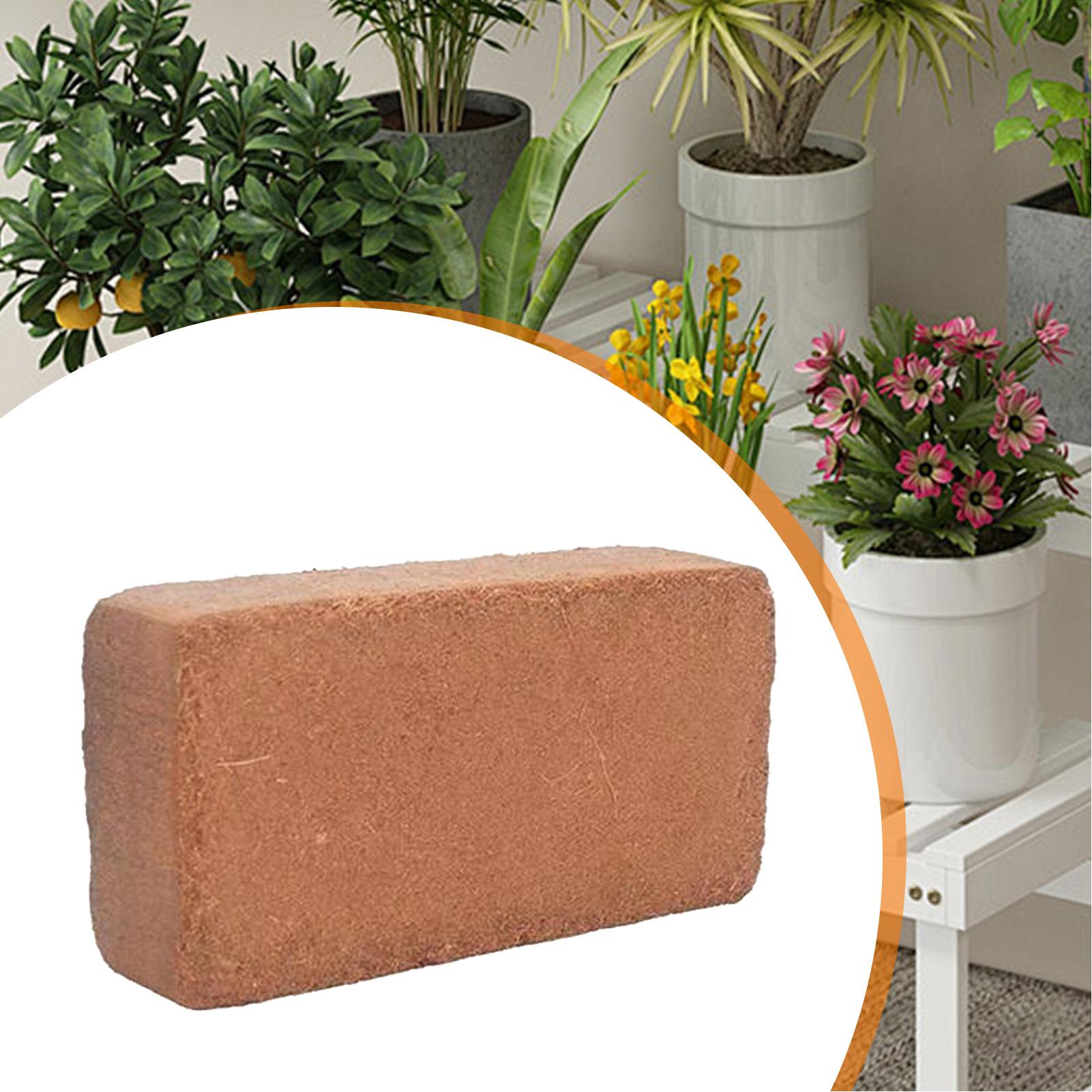 Coir Bricks Coco Peat Potting  - đánh giá và giá Coco Coir Block