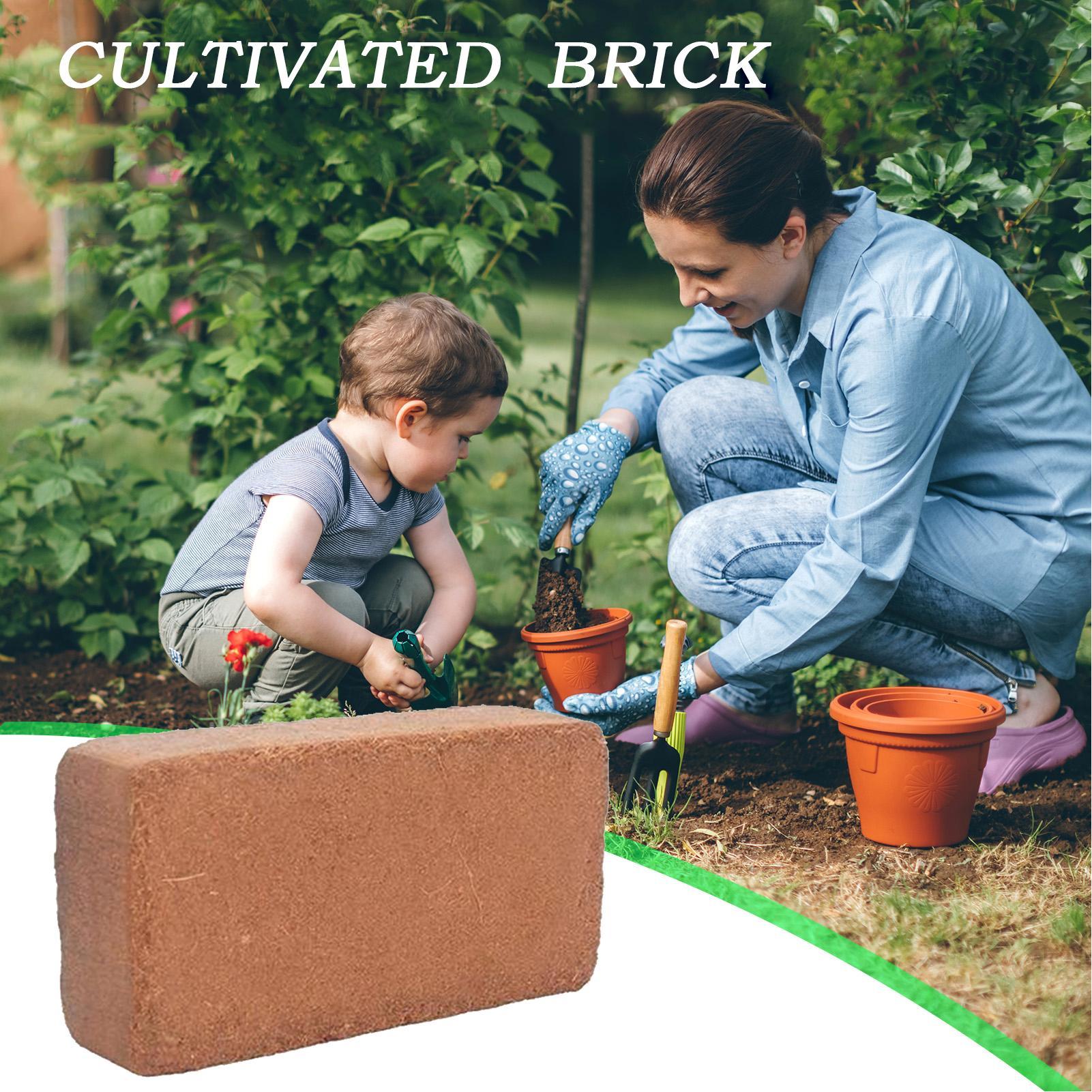 Organic Coco Coir Coco Coir Fo - đánh giá và giá Coco Coir Block