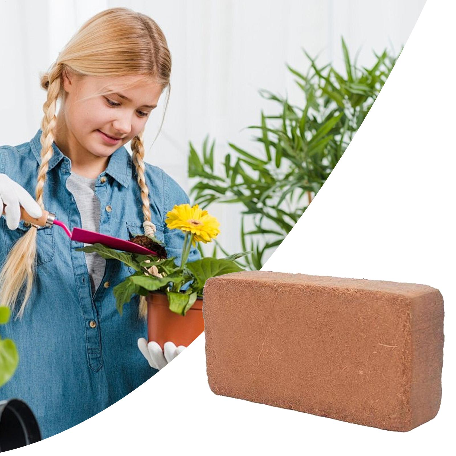 Organic Coco Coir Coco Coir Fo - đánh giá và giá Coco Coir Block