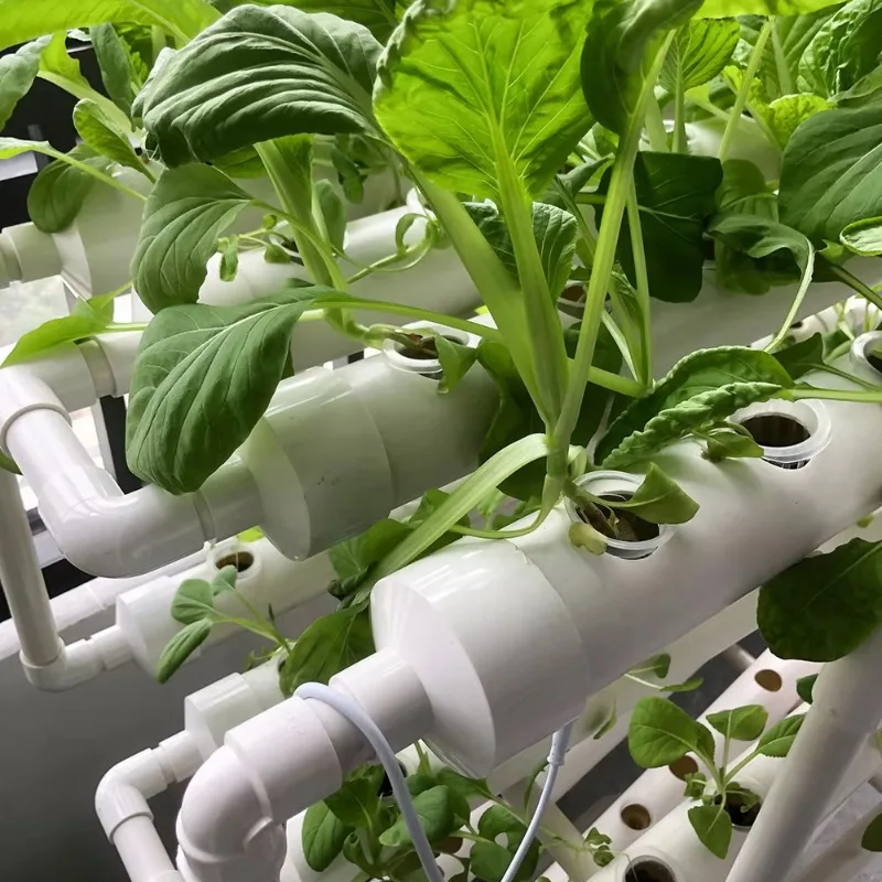 Hydroponic NFT Tube System – V - đánh giá và giá Urban Farming Usa